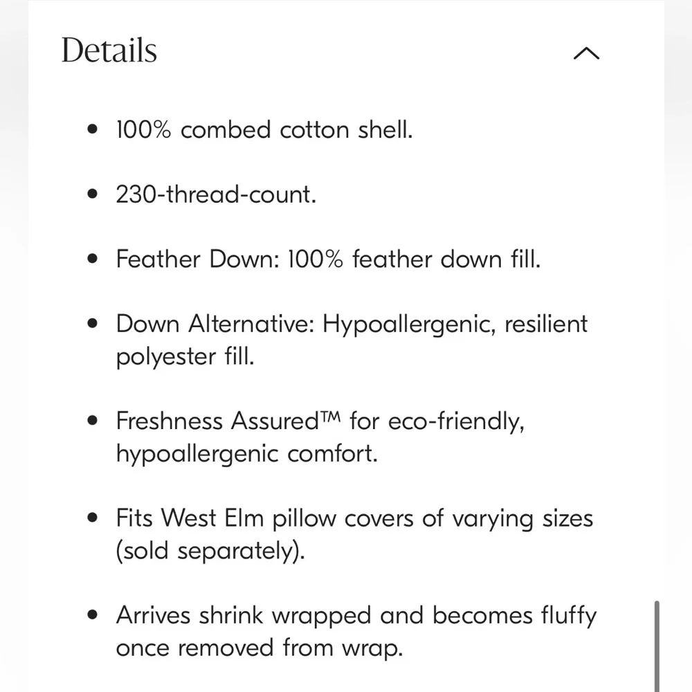 WEST ELM Down Alternative Pillow Insert White 20”x20” Set of 2